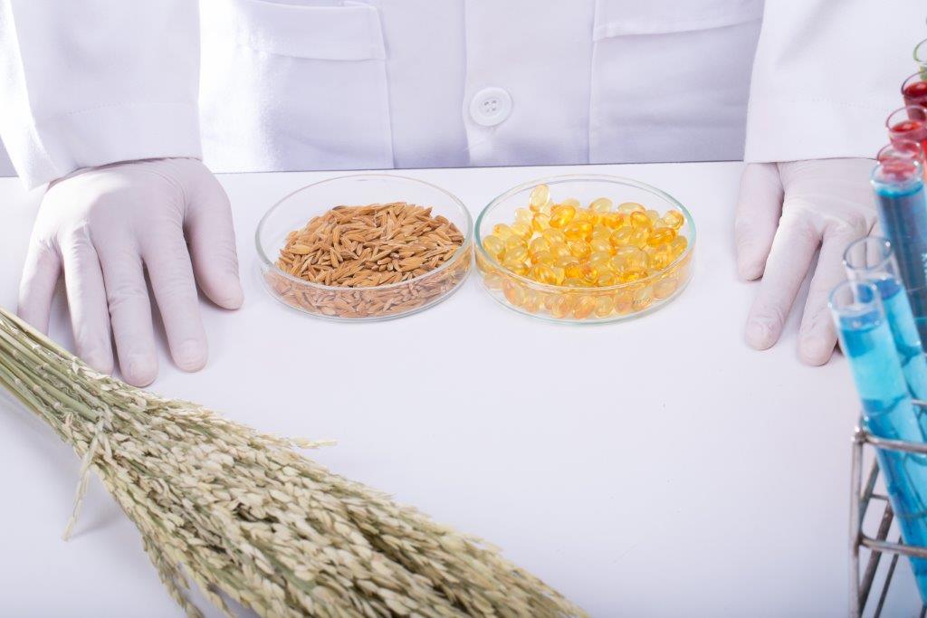 Calidad alimentaria - Medio ambiente